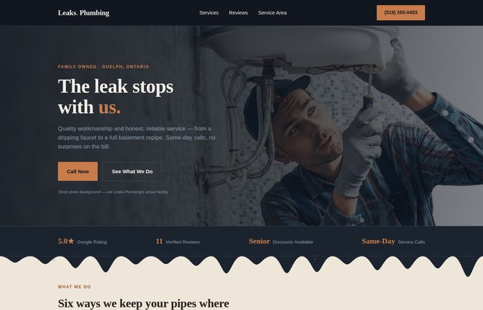 Leaks Plumbing mockup site